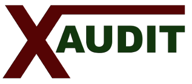 X-Audit